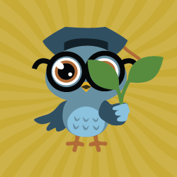 Ασφαλές περιβάλλον